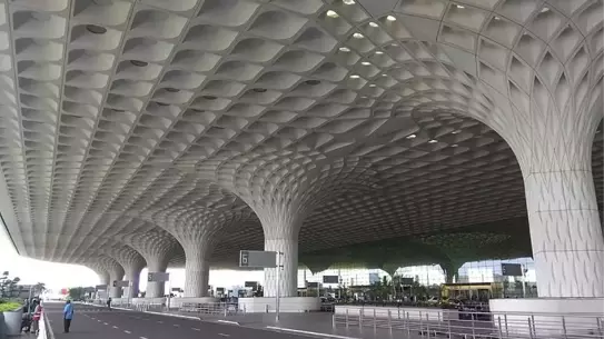 Mumbai Havalimanı'nda 48 Zehirli Yılan Ele Geçirildi