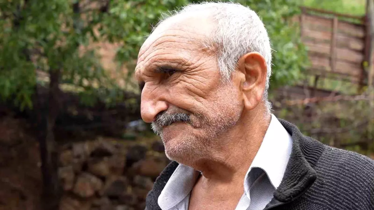 Kurt Saldırısı: 16 Küçükbaş Hayvan Telef Oldu