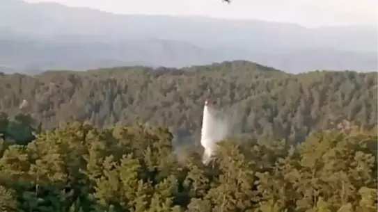 Muğla ve Aydın'da Yangınlar Kontrol Altına Alındı