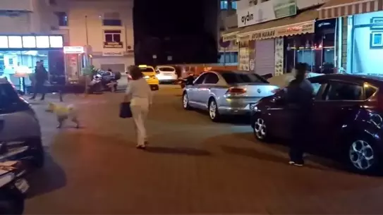 Muğla'da Deprem Sonrası Olumsuzluk Yok