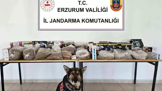 Erzurum'da 30 Kilogram Kaçak Tütün Ele Geçirildi