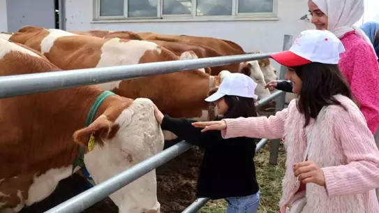 Erzurum'da Aile Yılı Etkinliği