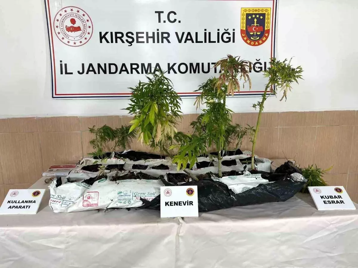 Kırşehir'de Uyuşturucu Operasyonu