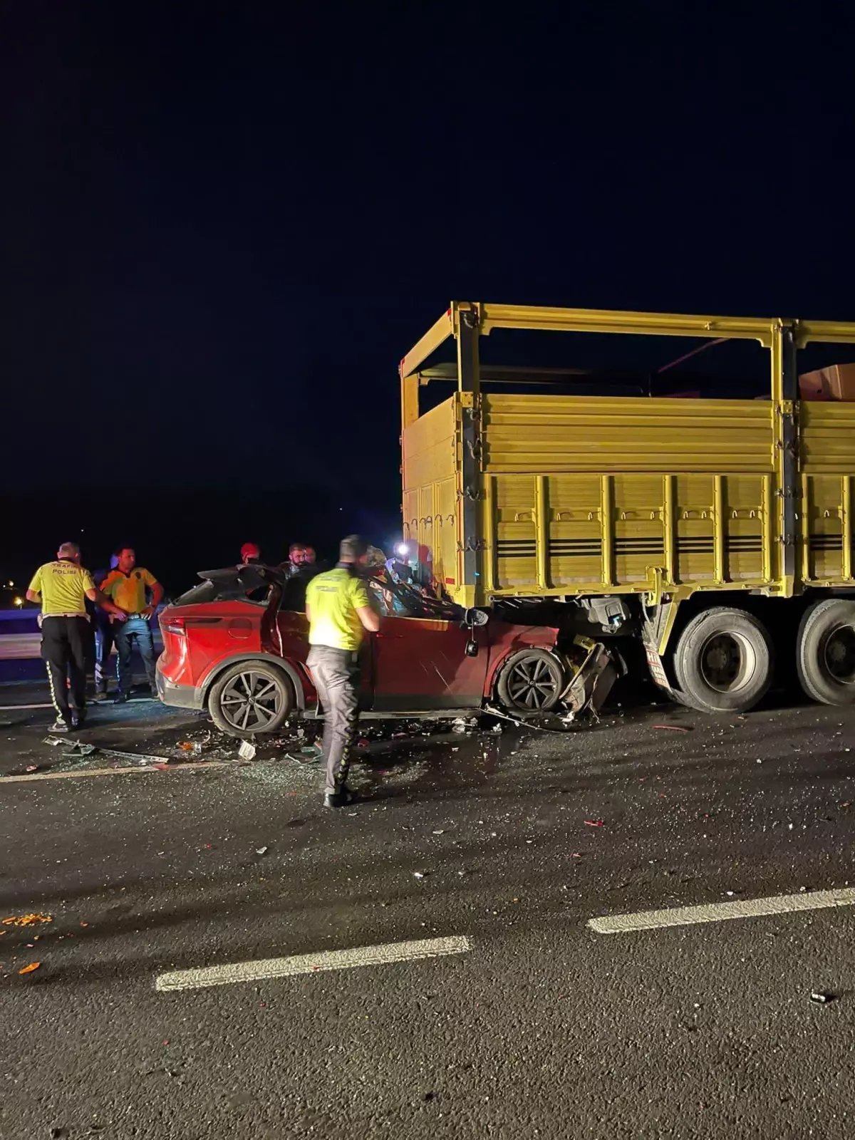 Pamukova'da Trafik Kazası: Sürücü Hayatını Kaybetti