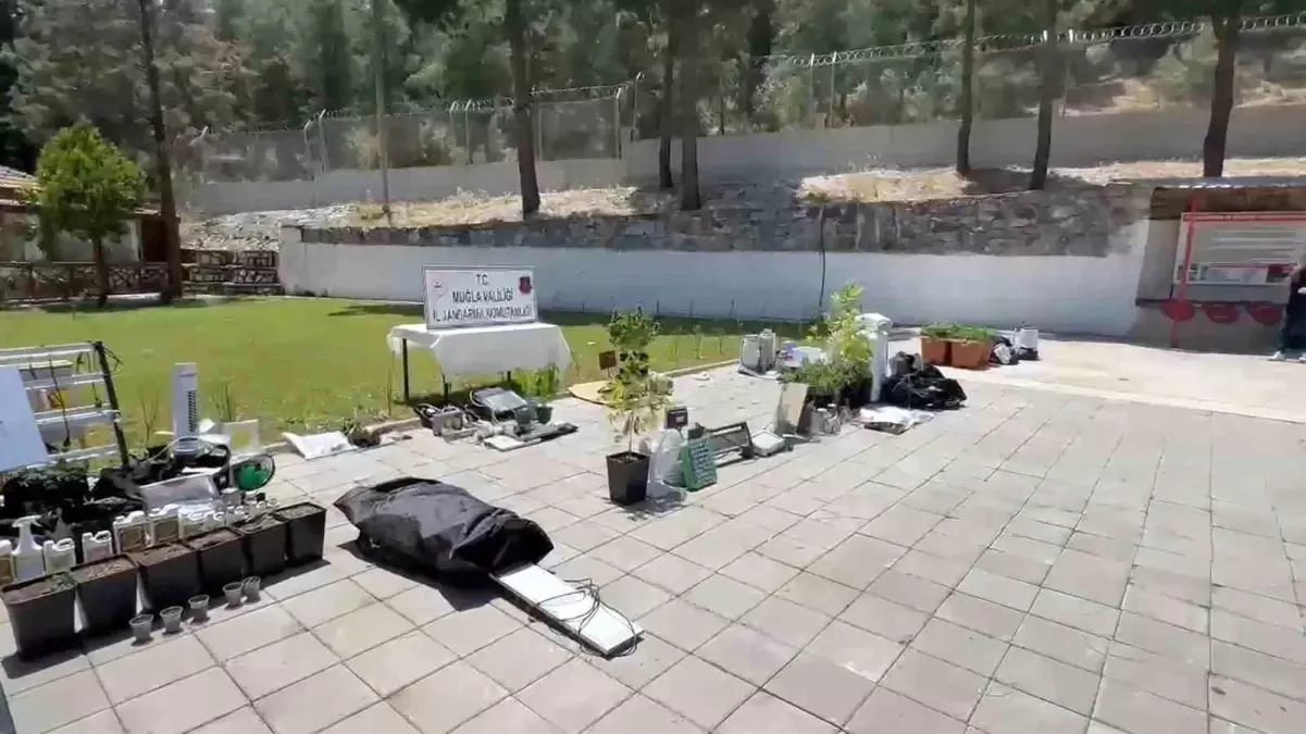 Muğla'da Uyuşturucu Operasyonu: 43 Tutuklama