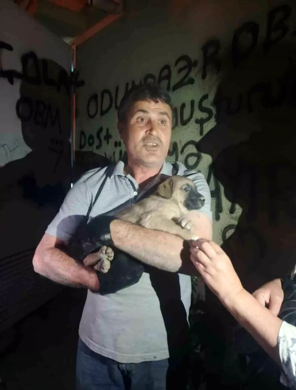 Eskişehir'de Yavru Köpek Trafodan Kurtarıldı