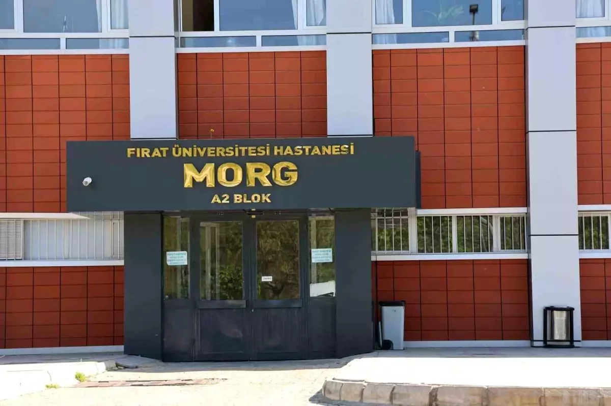 Elazığ'da genç dağda düştü, hayatını kaybetti