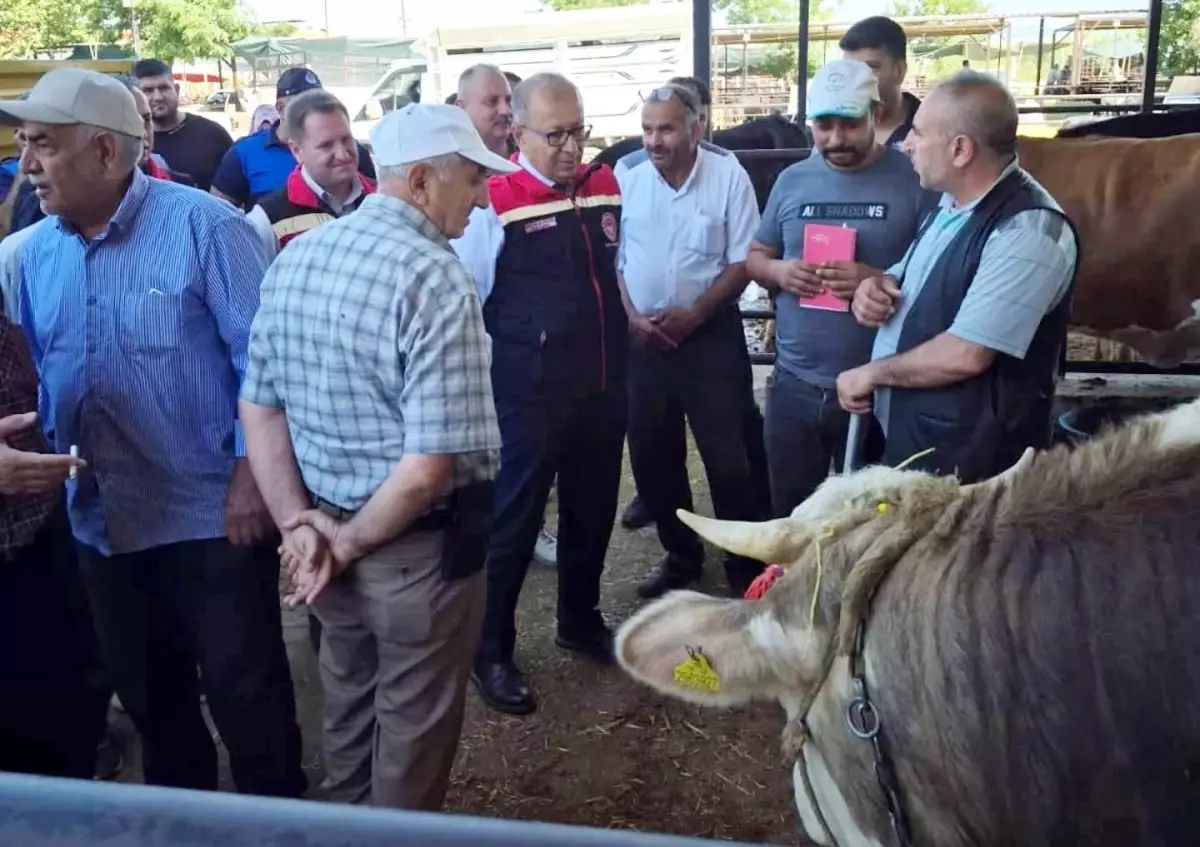 Aydın'da Kurban Hazırlıkları Denetlendi