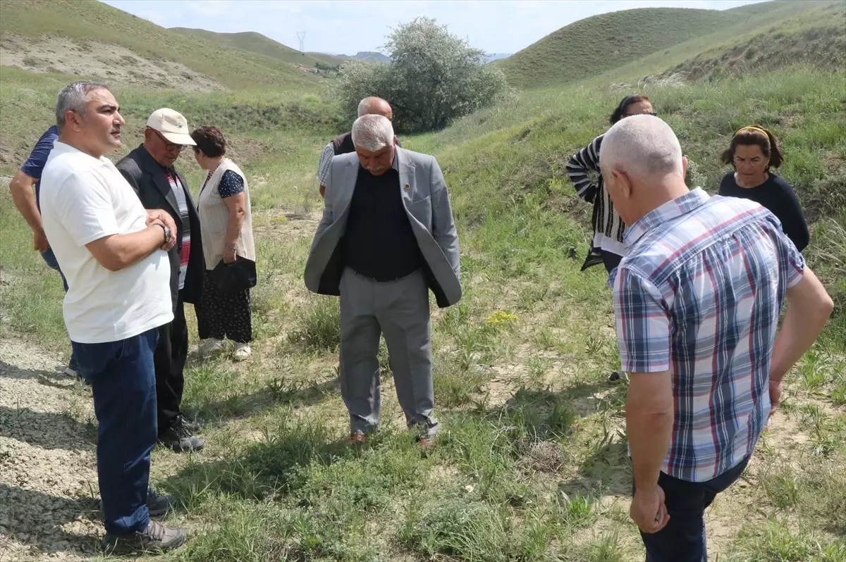 Yeni Bitki Türü 'Dorycnium vuralii' Keşfedildi