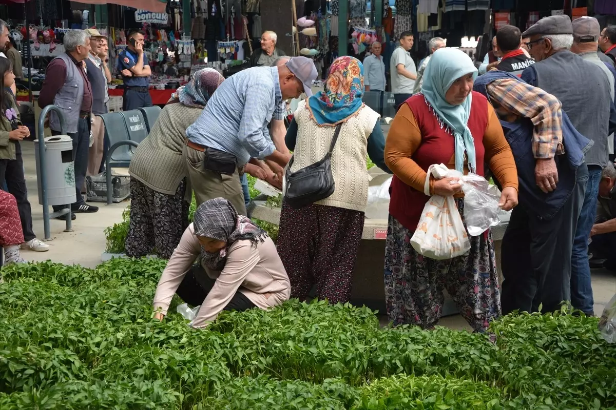 Demirci'de Çiftçilere 40 Bin Fideli Destek