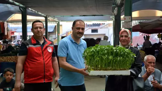 Demirci'de Çiftçilere 40 Bin Ücretsiz Sebze Fidesi Dağıtıldı
