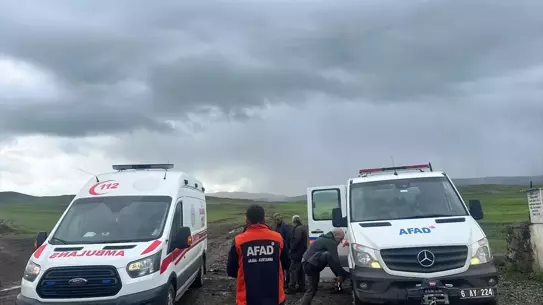 Yıldırım çobana isabet etti