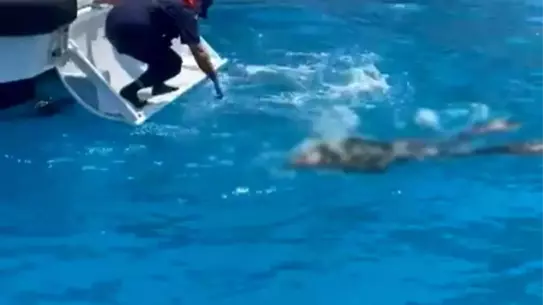Dalışta Vurgun Yedi, Hayatını Kaybetti
