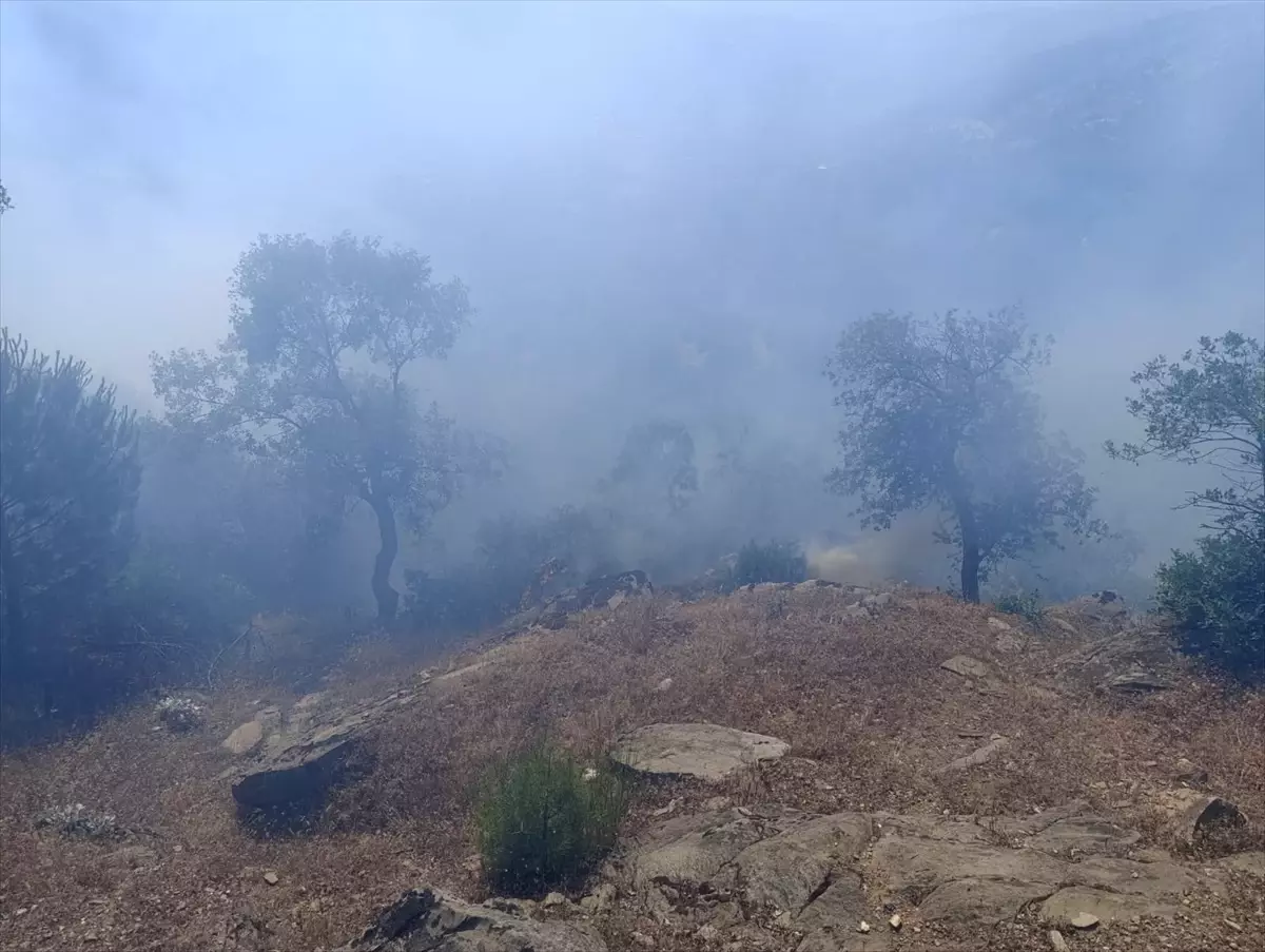 Ödemiş'te Otluk Alanda Yangın