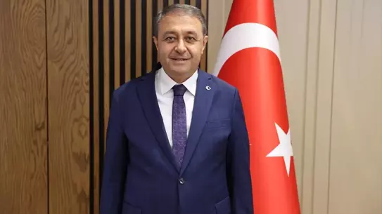 Şanlıurfa'da 1900 Sahipsiz Hayvan Toplandı