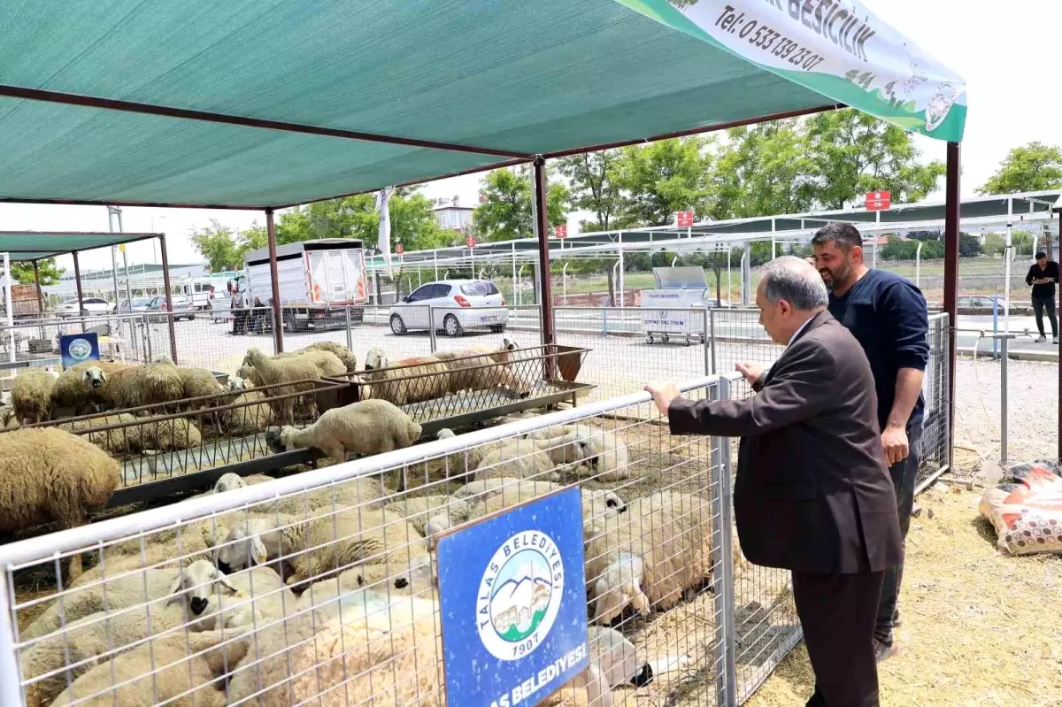 Talas Belediye Başkanı Yalçın, Kurban Satış ve Kesim Alanı'nı Ziyaret Etti