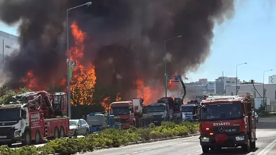 Çayırova'da Palet Fabrikasında Yangın