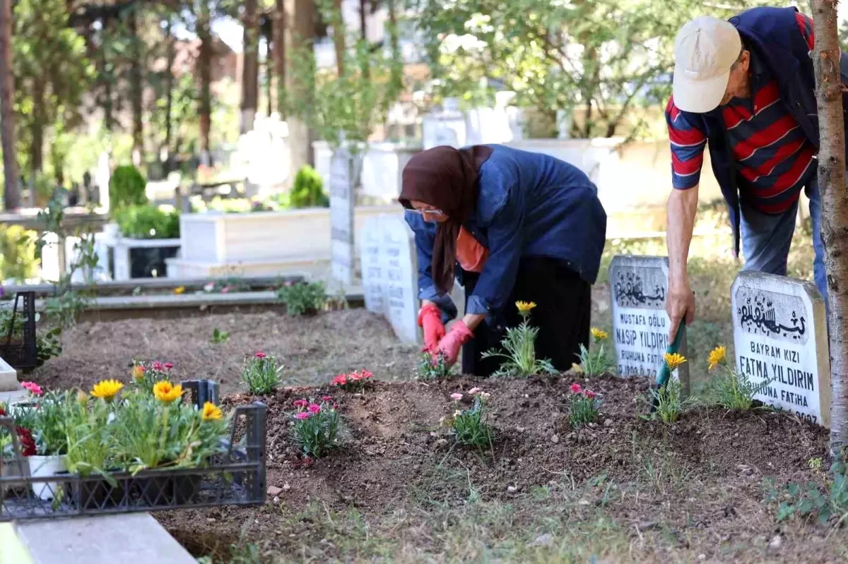 Kocaeli Büyükşehir Belediyesi'nden Mezarlık Ziyaretine Çiçek Dağıtımı