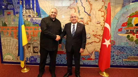 Güler ve Umerov Belçika'da Buluştu