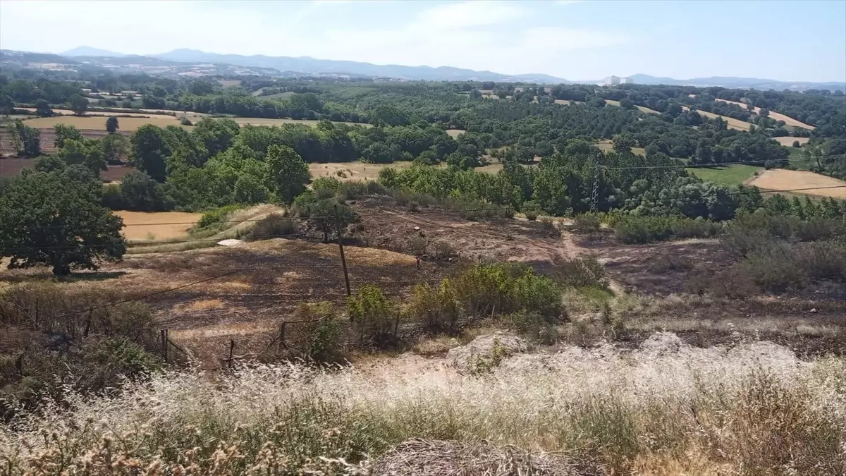 Karga Yangın Çıkardı, Büyümeden Söndürüldü