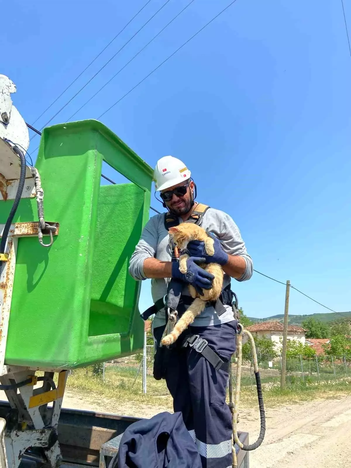 Kurban Bayramı'nda Kedi Kurtarma