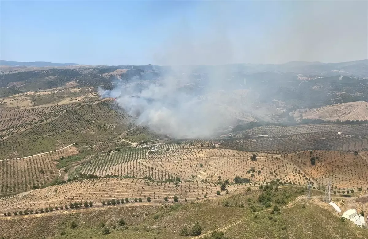 Seferihisar'da Yangınla Mücadele Başladı
