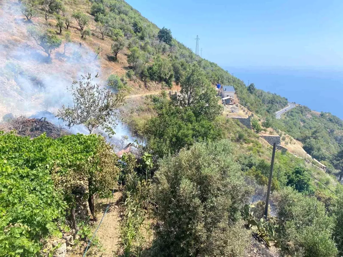 Gazipaşa'da Bahçe Yangını Kontrol Altına Alındı