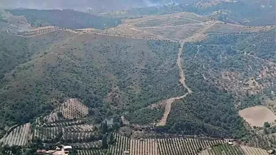 Seferihisar'da Orman Yangını Kontrol Altına Alındı
