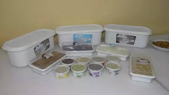 AKÜDO Dondurması ile Herkes Tanışsın