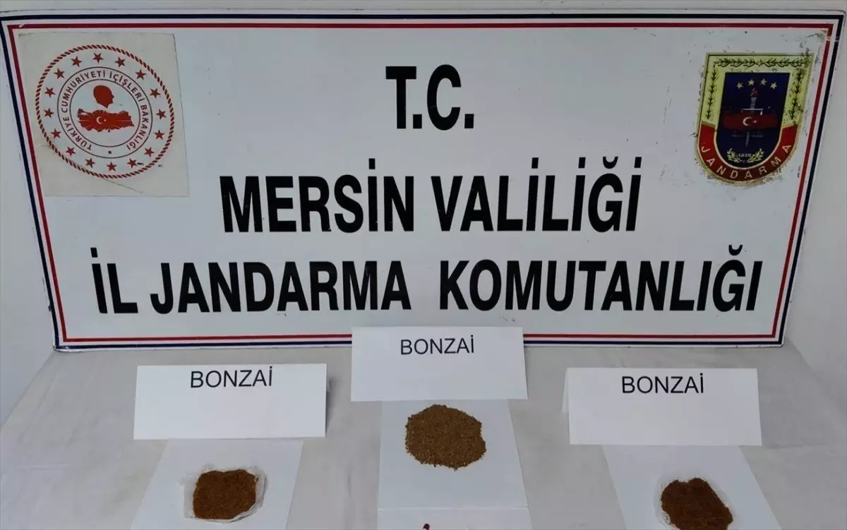 Mersin'de Uyuşturucu Operasyonu: 1 Tutuklama